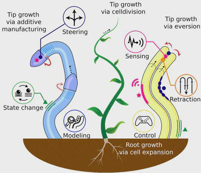 Tip-Growing Robots featured image