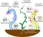 Tip-Growing Robots: Design, Theory, Application