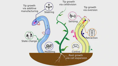 Tip-Growing Robots: Design, Theory, Application featured image