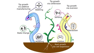 Tip-Growing Robots: Design, Theory, Application featured image