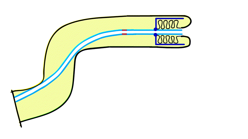 Material Scrunching Enables Working Channels in Miniaturized Vine-Inspired Robots featured image
