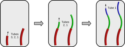 Follow-the-Leader Deployment featured image