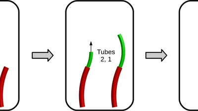 Follow-the-Leader Deployment featured image