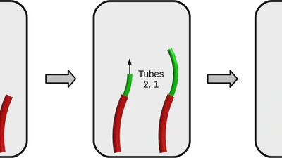 Follow-the-Leader Deployment featured image