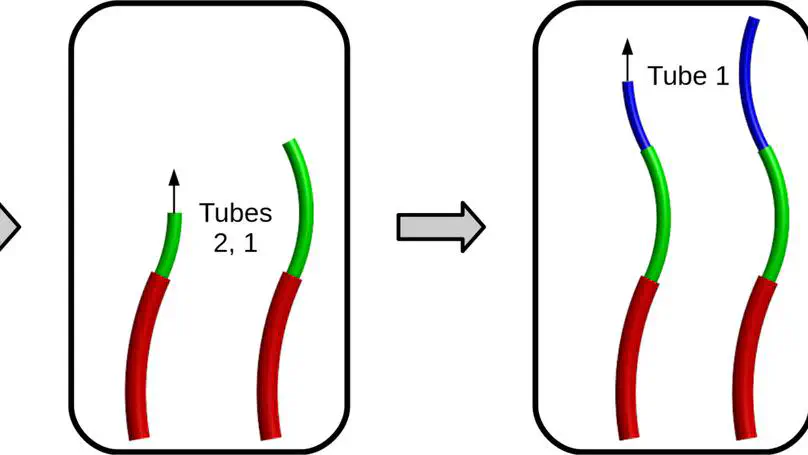 Follow-the-Leader Deployment of Concentric Tube Robots