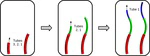 Follow-the-Leader Deployment of Concentric Tube Robots