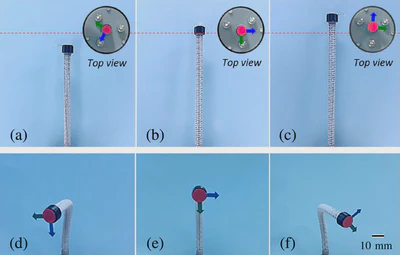 Multi-backbone Continuum Robots featured image